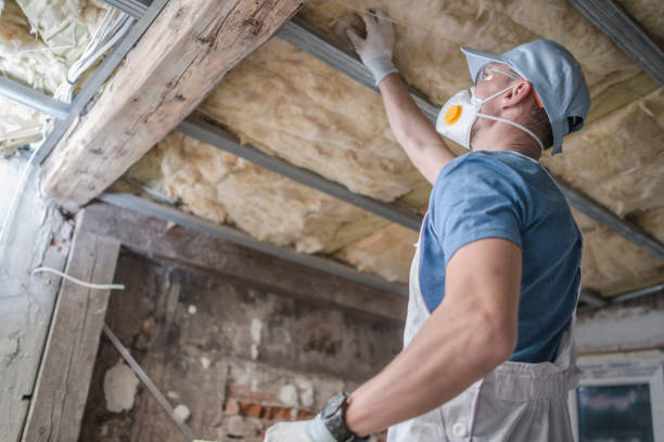 Professional Insulation Contractor in Cordova, AL