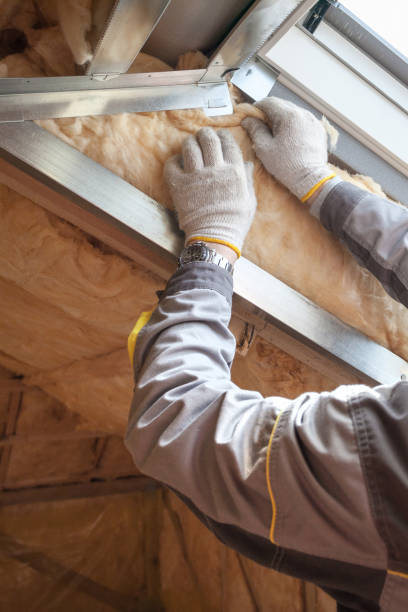 Best Geographic-Specific Insulation Services in Cordova, AL